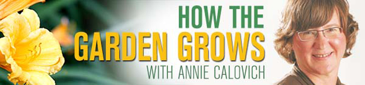 Gardening Newsletter
