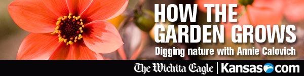 How the Garden Grows: Digging Nature with Annie Calovich